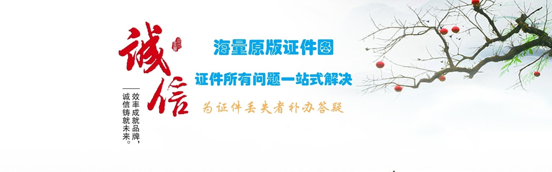 证件制作咨询